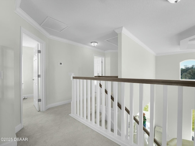 corridor with light colored carpet and ornamental molding