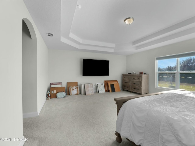 carpeted bedroom with a tray ceiling