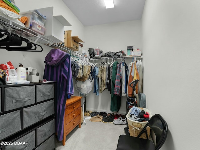 walk in closet with carpet