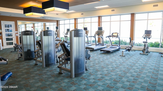 workout area with plenty of natural light and carpet floors