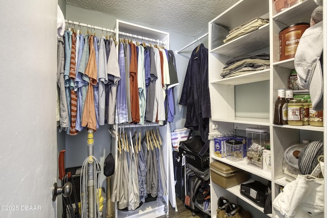 walk in closet featuring wood finished floors