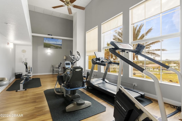 workout area with ceiling fan, baseboards, and wood finished floors