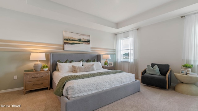 carpeted bedroom with a raised ceiling