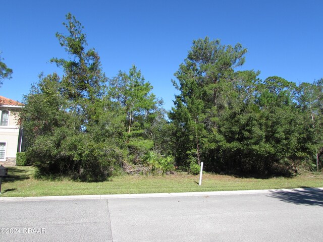 59 Apian Way, Ormond Beach, FL 32174 - photo 4