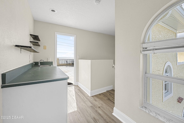 interior space featuring a sink, plenty of natural light, light wood-style flooring, and open shelves