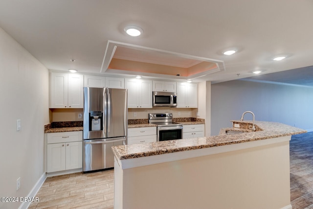 kitchen featuring a raised ceiling, stainless steel appliances, light wood-type flooring, and a sink