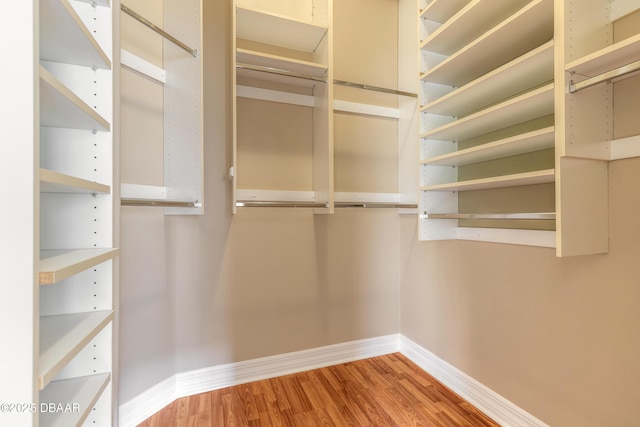 walk in closet featuring hardwood / wood-style flooring