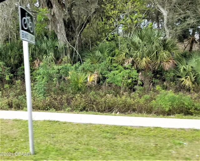 1802 S Nova Rd, South Daytona, FL 32119 - photo 5
