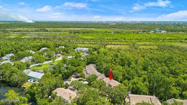 189 Arborvue Trl, Ormond Beach, FL 32174 - photo 35