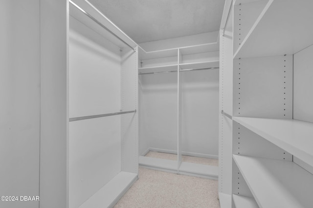 spacious closet with carpet