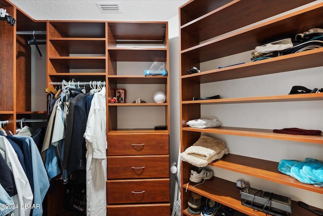 view of walk in closet