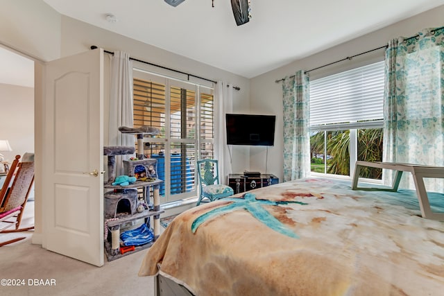 bedroom with multiple windows, ceiling fan, and carpet floors