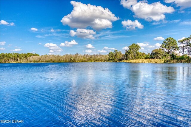 707 Gran Bahama Blvd, Davenport, FL 33897 - water view