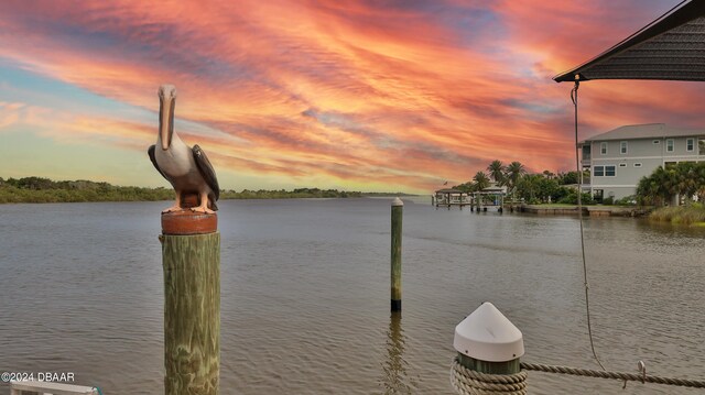 dock area with a water view