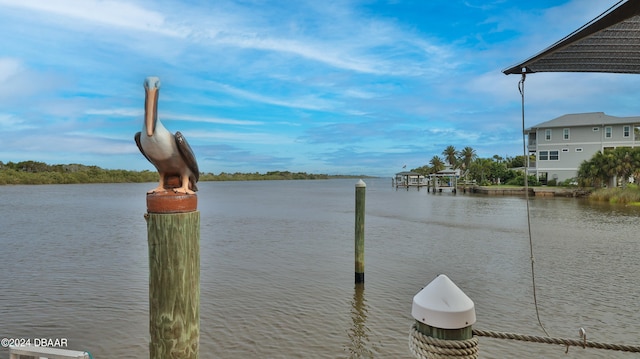 dock area with a water view