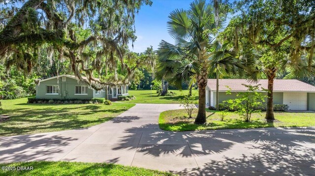 1020 Old Big Tree Rd, Daytona Beach, FL 32119 - photo 3