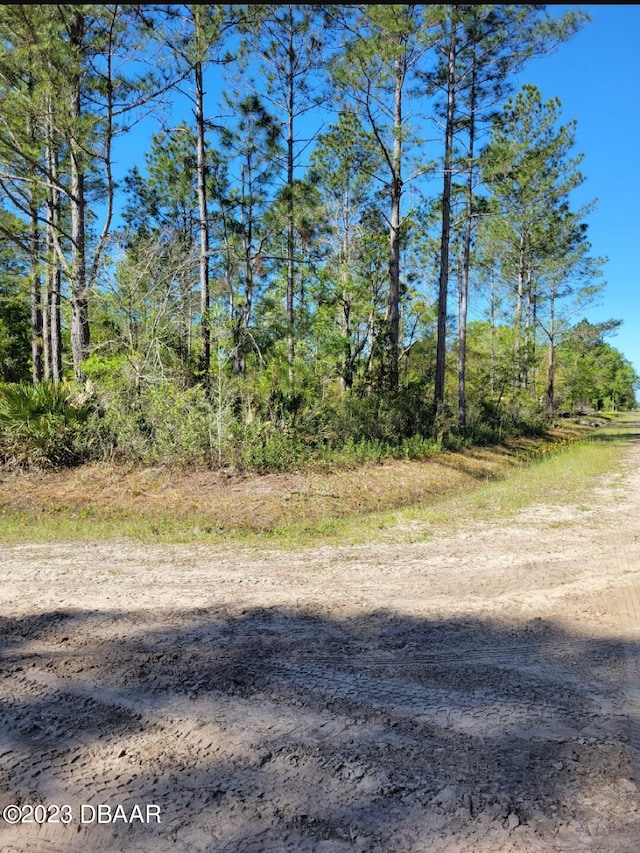 5105 Jonathan St, Hastings FL, 32145 land for sale