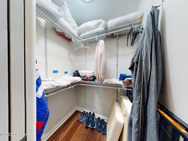 520 S Peninsula Ave Unit 2D7, New Smyrna Beach, FL 32169 - walk in closet featuring hardwood / wood-style flooring