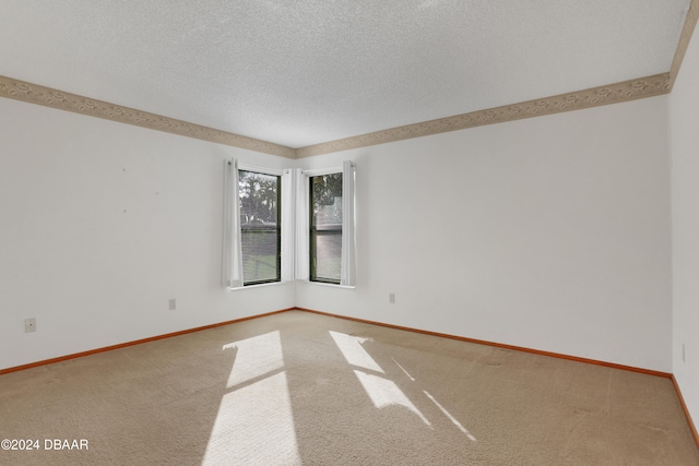 empty room featuring carpet floors and a textured ceiling