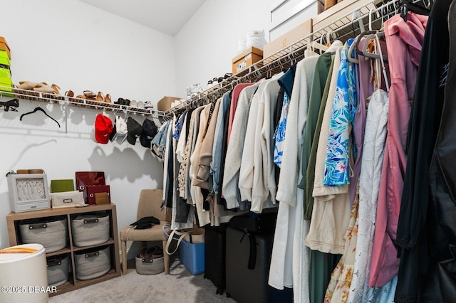 walk in closet featuring carpet floors