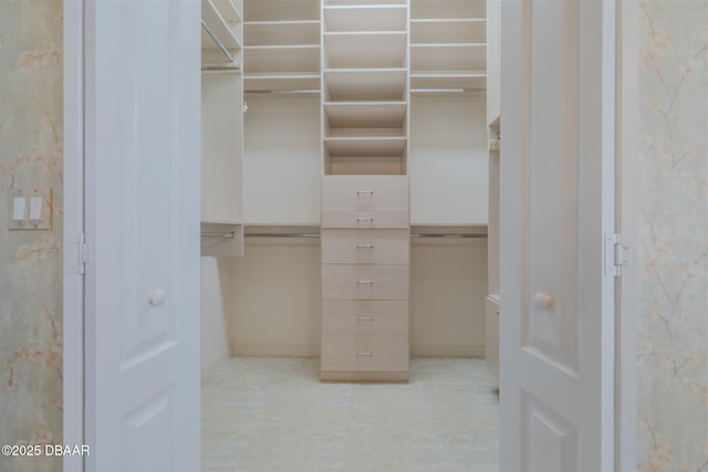 view of spacious closet