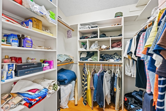 spacious closet with wood-type flooring