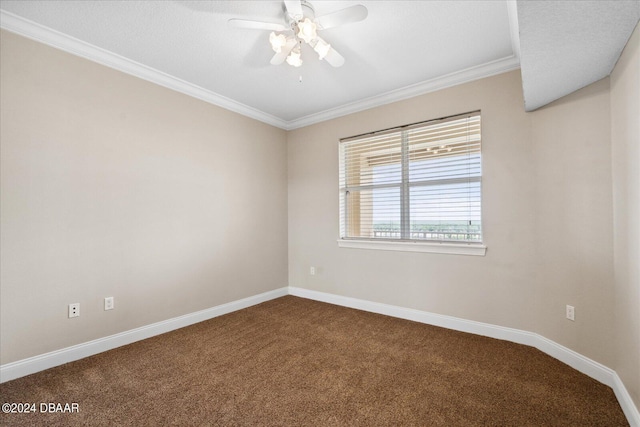 spare room with ceiling fan, crown molding, and carpet floors