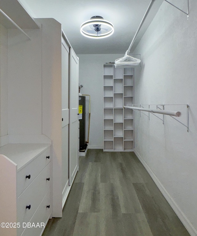 walk in closet featuring dark wood-type flooring