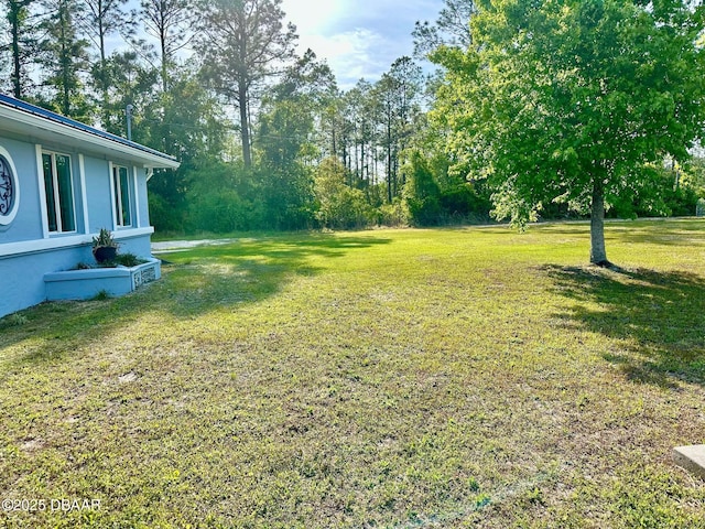 view of yard