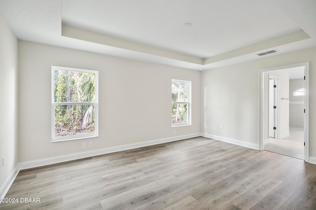 spare room featuring light hardwood / wood-style flooring, a tray ceiling, and plenty of natural light