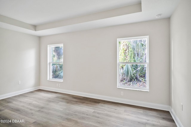 spare room featuring light hardwood / wood-style floors, a healthy amount of sunlight, and a raised ceiling