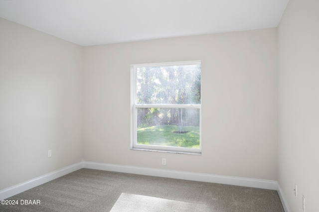 unfurnished room featuring carpet flooring