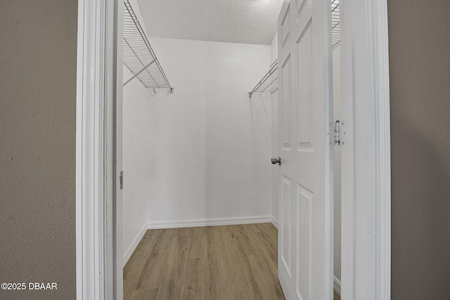 walk in closet featuring light hardwood / wood-style flooring