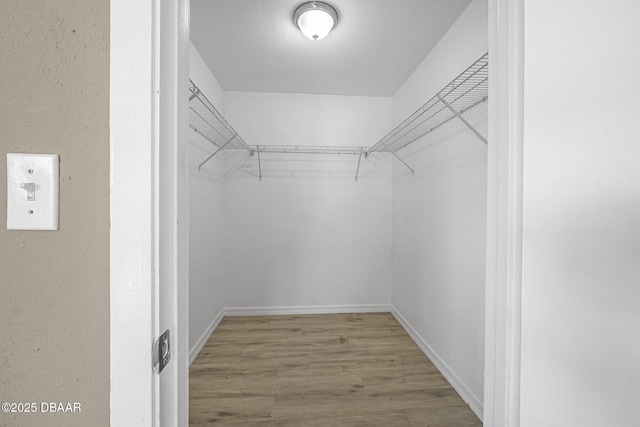 walk in closet with wood-type flooring