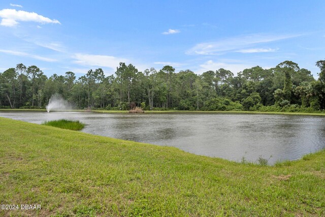 350 Sunset Point Dr, Ormond Beach, FL 32174 - water view with a forest