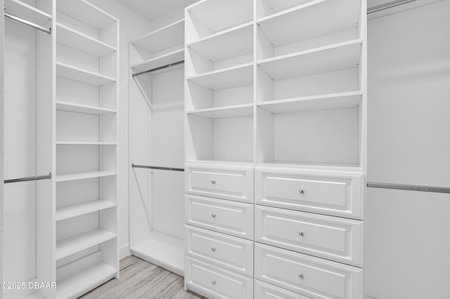 232 Ocean Hammock Loop, Daytona Beach, FL 32124 - spacious closet featuring light wood-style floors