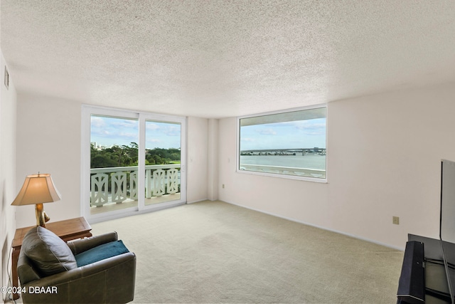 living area with light carpet and a textured ceiling