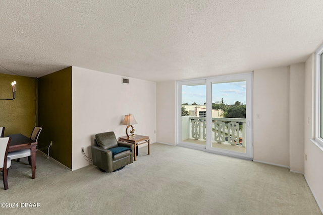 living area featuring light carpet and a textured ceiling