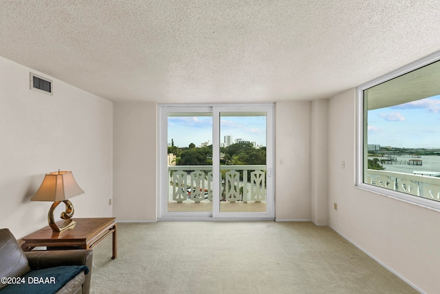 sitting room featuring light colored carpet, a healthy amount of sunlight, and a textured ceiling