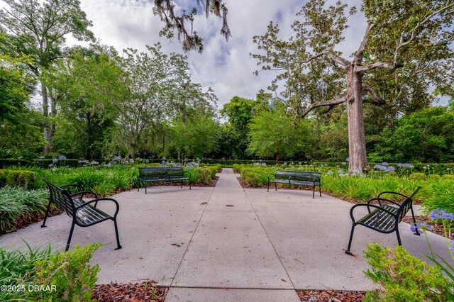 84 Lincoln Ave, Ormond Beach, FL 32174 - view of home's community with view of scattered trees