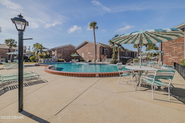 view of swimming pool with a patio