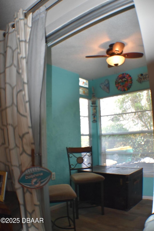 interior space with a ceiling fan and wood finished floors
