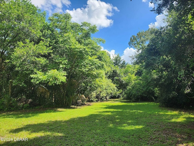 0 Washington St, Lake Helen FL, 32744 land for sale