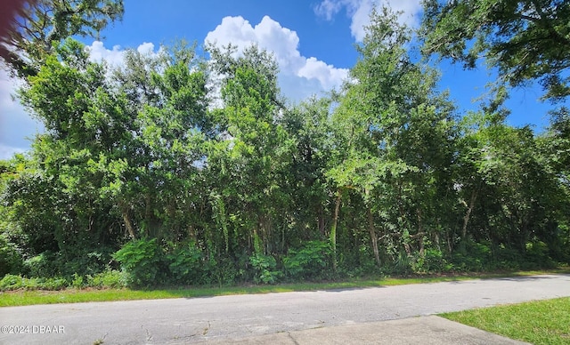 Listing photo 3 for 0 Washington St, Lake Helen FL 32744