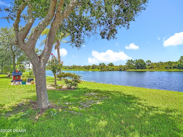 329 Perfect Dr, Daytona Beach, FL 32124 - photo 47