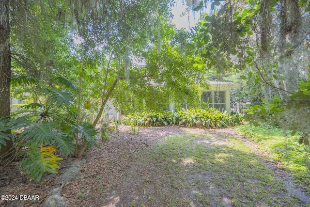 view of yard featuring a sunroom