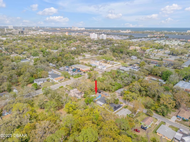 bird's eye view with a city view