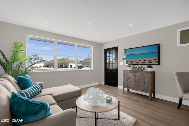 living room featuring hardwood / wood-style floors