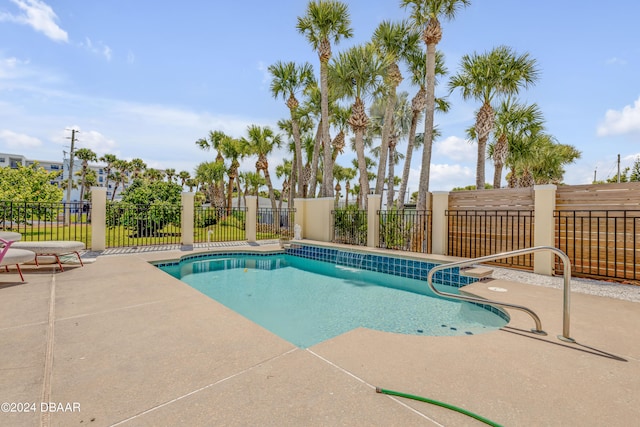 view of swimming pool featuring a patio