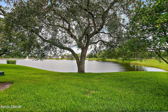 water view